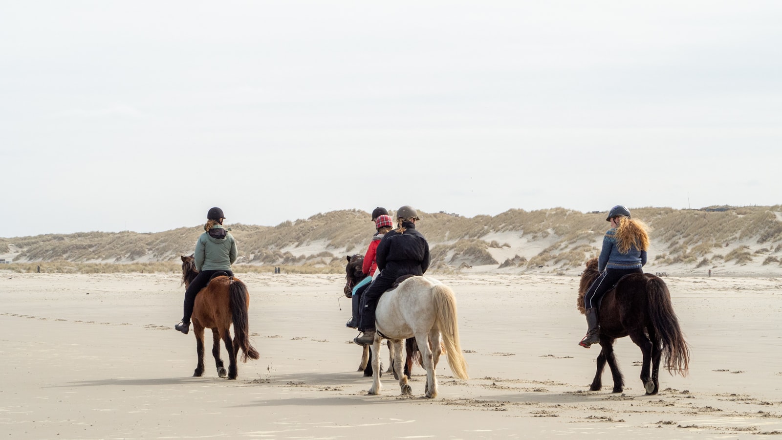 Paardrijden